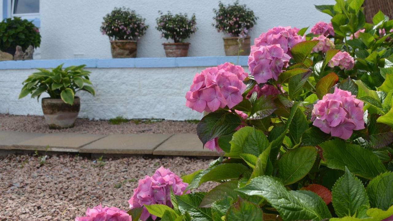 Springbank Bed and Breakfast Mallaig Buitenkant foto